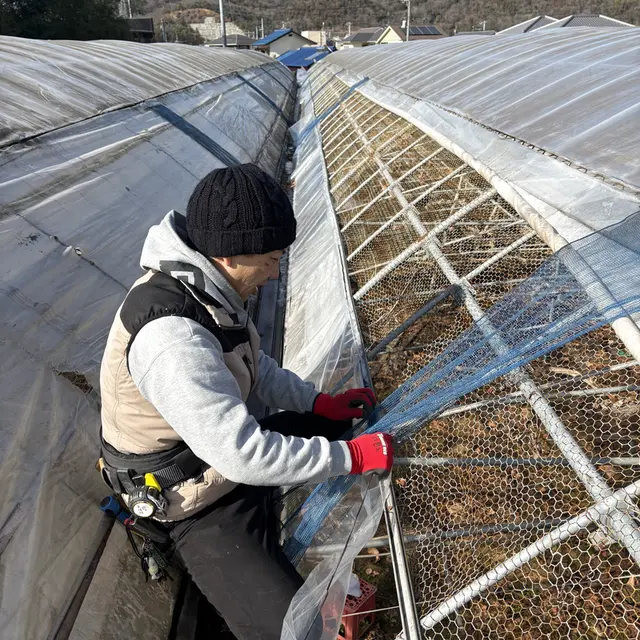 大工として屋根の作業をする仲間